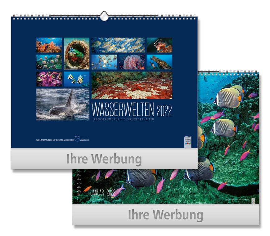 Bildkalender "Wasserwelten" 2022 mit Bildern vom Leben unter und auf dem Wasser bei Schuler Werbekalender